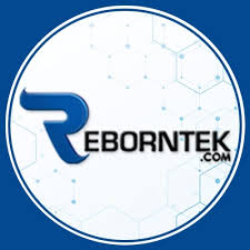 Reborntek as one of the top digital marketing agency in Pakistan