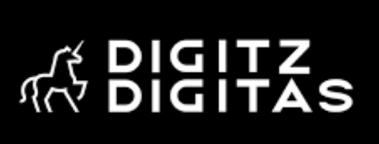 Digitz Digitas as one of the top digital marketing agency in Pakistan