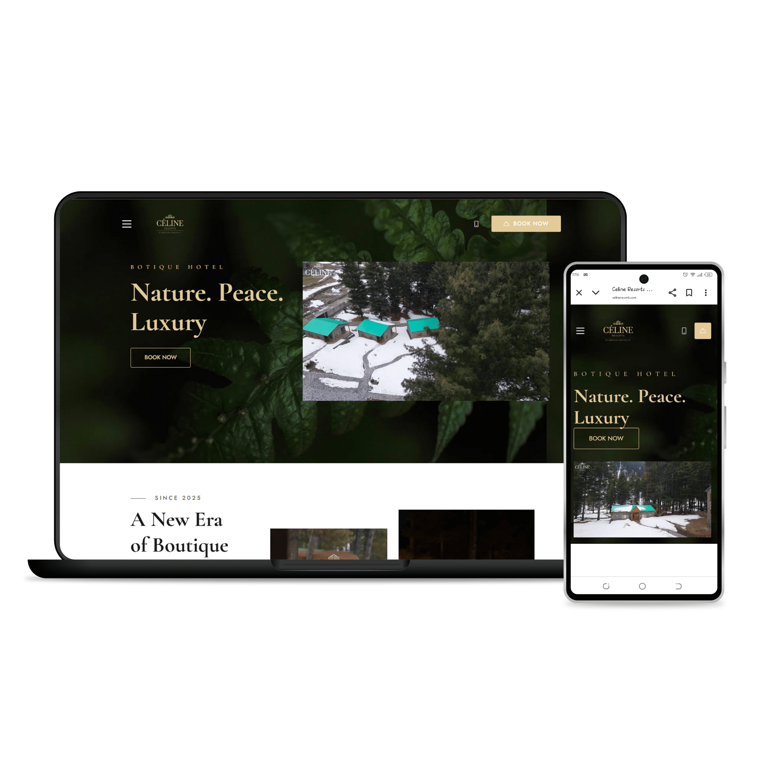 Website Development Services in USA